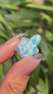 Top Quality Larimar Turtle - (I)