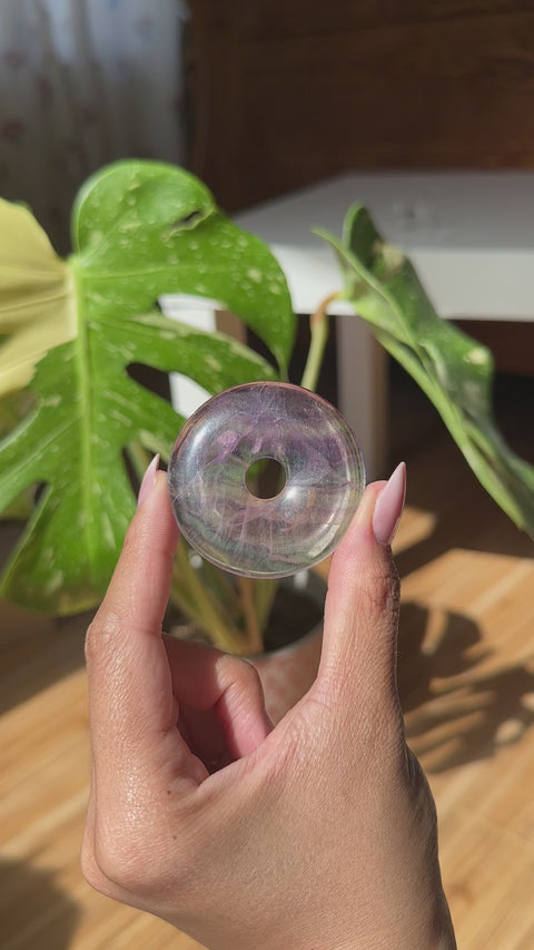 Large Fluorite Donut - (G)