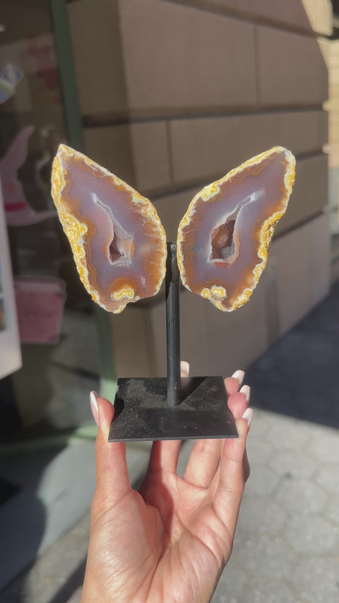 Moody Agate Wings on Stand - 66