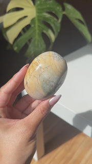 Sea Jasper Palm Stone - 18N