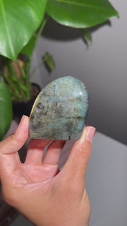 Labradorite Freeform - 16